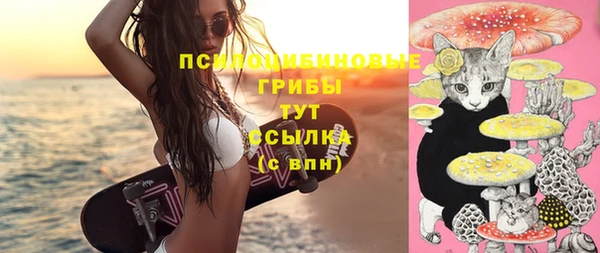 бошки Лагань